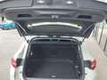 Opel Grandland X 1,2 Turbo Innovation 130 PS AT8 Weiß - thumbnail 14