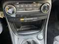 Ford Puma 1.0 EcoBoost MHEV Titanium 125 Blanco - thumbnail 14