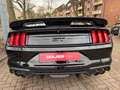 Ford Mustang GT SHELBY COYOTE Schwarz - thumbnail 13