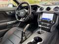 Ford Mustang GT SHELBY COYOTE Schwarz - thumbnail 19