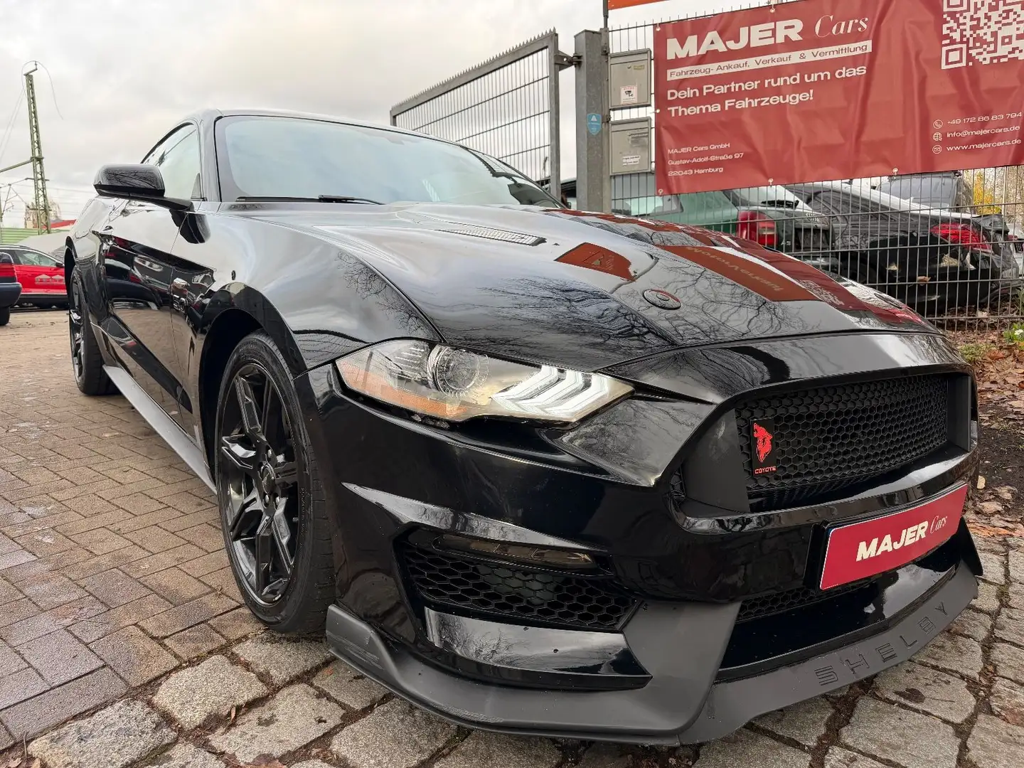 Ford Mustang GT SHELBY COYOTE Schwarz - 1
