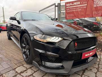 GT SHELBY COYOTE