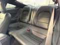 Ford Mustang GT SHELBY COYOTE Schwarz - thumbnail 30