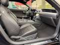 Ford Mustang GT SHELBY COYOTE Schwarz - thumbnail 18