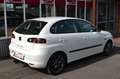 SEAT Ibiza 1.4 16V 63kW Sport Edition/Klimaautom. Weiß - thumbnail 3