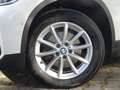 BMW X1 xDrive18d Advantage Navi Parkassist AHK LM SH Weiß - thumbnail 3