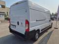 Fiat DUCATO  FIAT Ducato L3 35 2.3 MJT 140CV PLM-TM Bianco - thumbnail 5