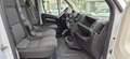 Fiat DUCATO  FIAT Ducato L3 35 2.3 MJT 140CV PLM-TM Bianco - thumbnail 12