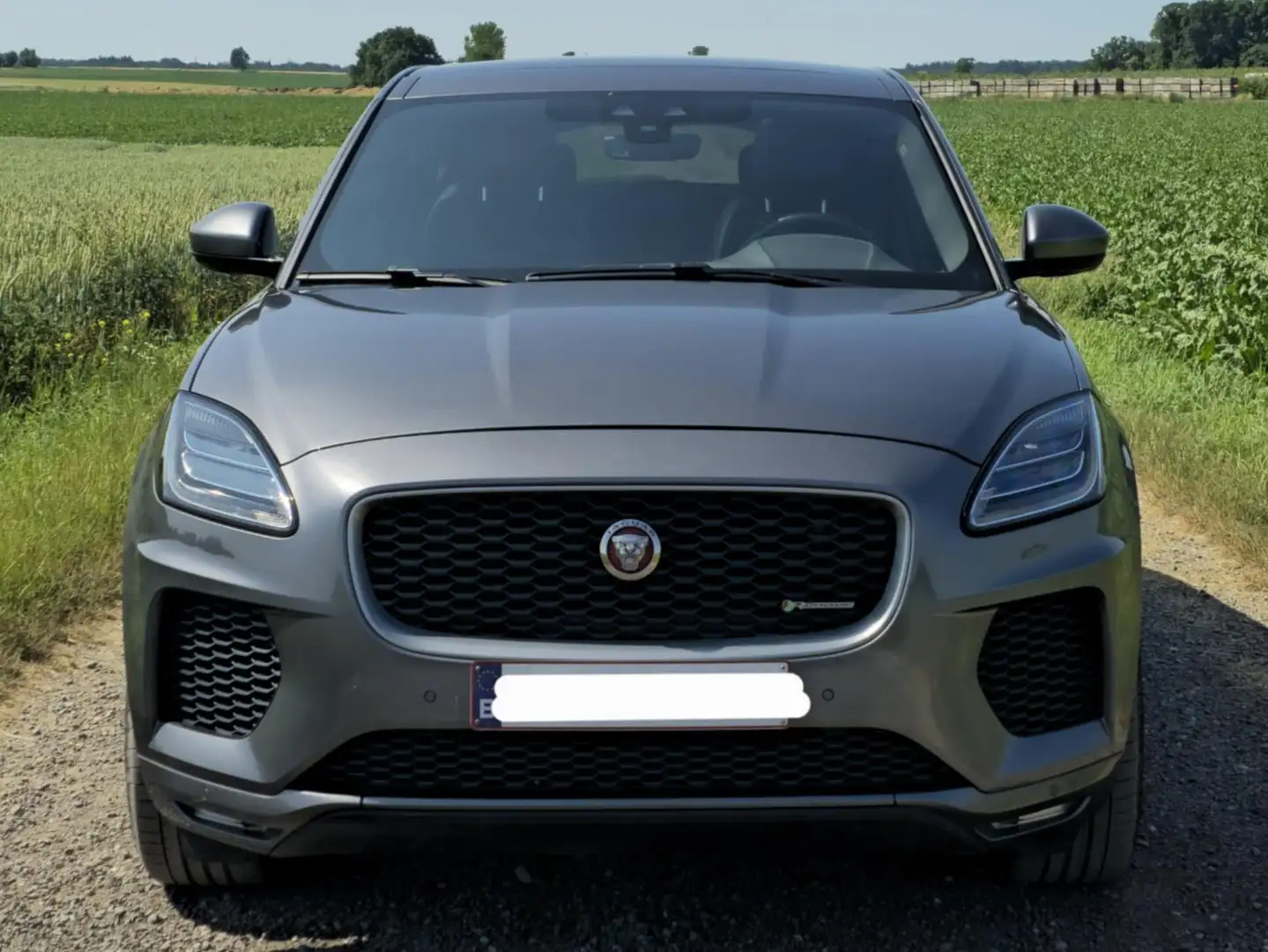 Jaguar E-Pace E-Pace 2.0 D AWD R-Dynamic S (EU6.2) Grijs - 1