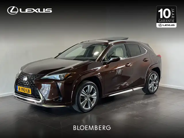 Lexus UX 300e Executive 54 kWh | Schuif-/kantel dak | HUD | | St