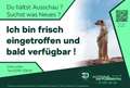 Skoda Superb L&K 4x4 *PANO*STANDHZ*AHK*COLUMBUS Grau - thumbnail 1