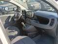 Fiat Panda Gpl/B 1.0 FireFly S&S Bianco - thumbnail 15