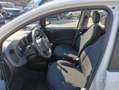 Fiat Panda Gpl/B 1.0 FireFly S&S Bianco - thumbnail 9