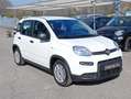 Fiat Panda Gpl/B 1.0 FireFly S&S Bianco - thumbnail 3