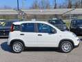 Fiat Panda Gpl/B 1.0 FireFly S&S Bianco - thumbnail 4