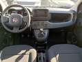 Fiat Panda Gpl/B 1.0 FireFly S&S Bianco - thumbnail 12