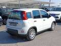 Fiat Panda Gpl/B 1.0 FireFly S&S Bianco - thumbnail 5