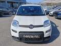 Fiat Panda Gpl/B 1.0 FireFly S&S Bianco - thumbnail 2