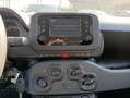 Fiat Panda Gpl/B 1.0 FireFly S&S Bianco - thumbnail 14