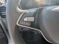 Skoda Fabia 1.0 MPI EVO 80 CV Selection *PREZZO REALE NON VIN Argento - thumbnail 23