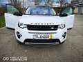 Land Rover Discovery Sport Discovery Sport SD4 Aut. HSE Luxury, Head Up Displ Weiß - thumbnail 1