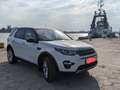 Land Rover Discovery Sport Discovery Sport SD4 Aut. HSE Luxury, Head Up Displ Weiß - thumbnail 12