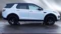 Land Rover Discovery Sport Discovery Sport SD4 Aut. HSE Luxury, Head Up Displ Weiß - thumbnail 3