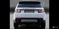 Land Rover Discovery Sport Discovery Sport SD4 Aut. HSE Luxury, Head Up Displ Weiß - thumbnail 6