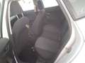 SEAT Arona 1.0 TSI Ecomotive S&S Style 95 Blanco - thumbnail 6