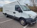 Iveco Daily 35S15 Weiß - thumbnail 1