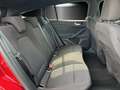 Ford Focus 2.0 EcoBlue ST-Line/KAMERA/SYNC3/LED/GRA/ Rot - thumbnail 12