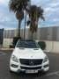 Mercedes-Benz ML 250 250BlueTec 4M 7G Plus Blanc - thumbnail 14