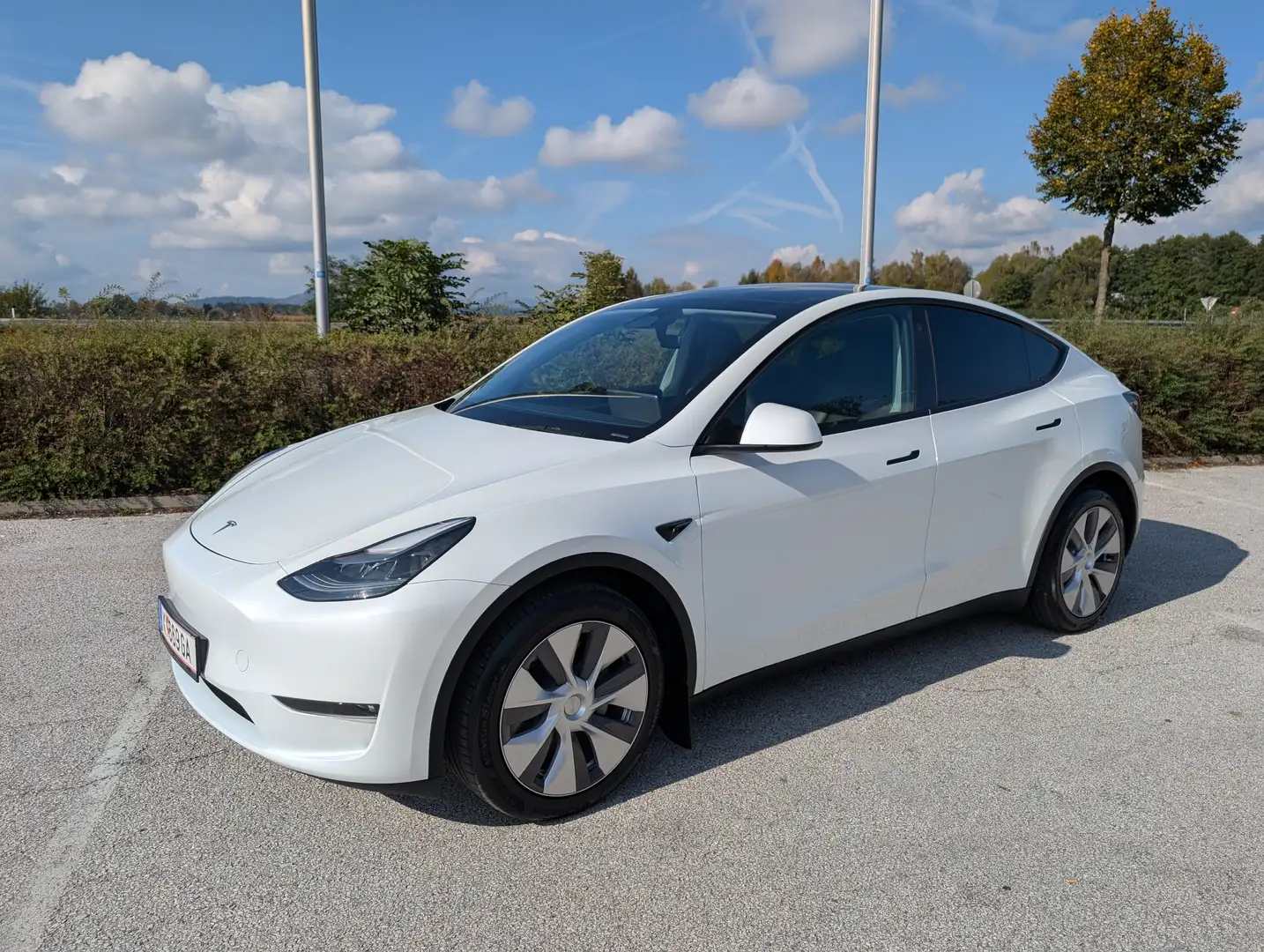 Tesla Model Y Model Y Long Range AWD 79kWh Weiß - 1