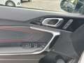 Kia ProCeed / pro_cee'd KIA ProCeed 1.6 T-GDI DCT7 OPF GT Weiß - thumbnail 15