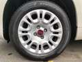 Fiat Panda PERFETTA!!! Verde - thumbnail 15