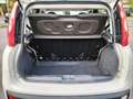Fiat Panda PERFETTA!!! Verde - thumbnail 13