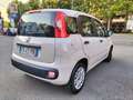 Fiat Panda PERFETTA!!! Verde - thumbnail 6