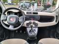 Fiat Panda PERFETTA!!! Verde - thumbnail 9