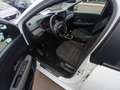 Dacia Sandero Streetway III 2021 Streetway 1.0 tce Journey Eco- Bianco - thumbnail 18