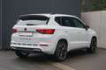 CUPRA Ateca 2.0 TSI DSG 4Drive LED Navi ACC Totwinkel Weiß - thumbnail 5