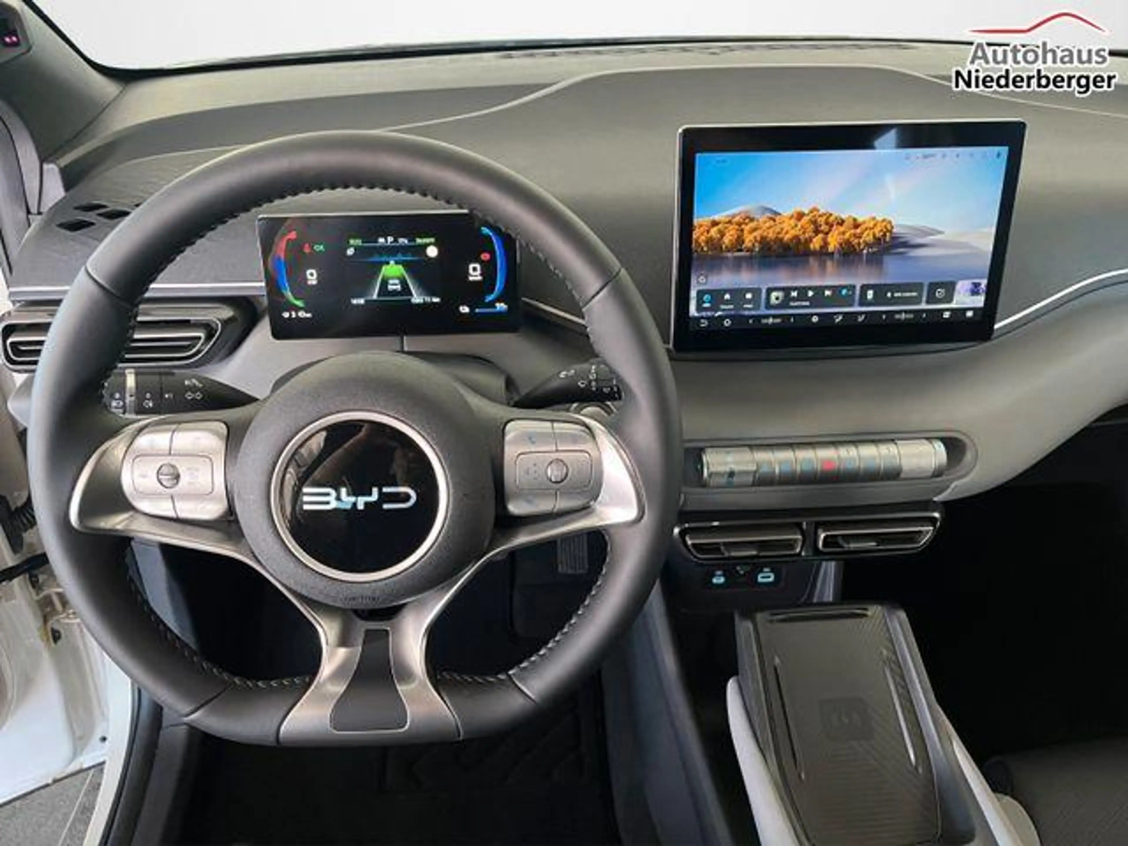BYD Dolphin Surf Comfort/ACC/LEDER/360°/SHZ/NAV/ 115 kW (156 PS)... — photo 9