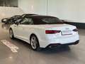 Audi A5 A5 II 2020 Cabrio 40 2.0 tfsi mhev  204cv s-tronic Bianco - thumbnail 8
