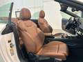 Audi A5 A5 II 2020 Cabrio 40 2.0 tfsi mhev  204cv s-tronic Bianco - thumbnail 13