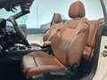 Audi A5 A5 II 2020 Cabrio 40 2.0 tfsi mhev  204cv s-tronic Bianco - thumbnail 11