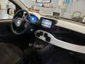Fiat Panda Pandina 1.0 firefly hybrid s&s 70cv Vert - thumbnail 7