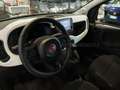 Fiat Panda Pandina 1.0 firefly hybrid s&s 70cv Vert - thumbnail 20