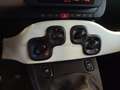 Fiat Panda Pandina 1.0 firefly hybrid s&s 70cv Vert - thumbnail 10