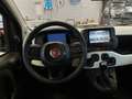 Fiat Panda Pandina 1.0 firefly hybrid s&s 70cv Vert - thumbnail 8