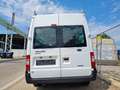 Ford TRANSIT HOCH+LANG+WOMO+ Blanc - thumbnail 14