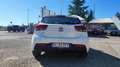 Kia Rio Rio 1.2 MPi 5 porte Active Bianco - thumbnail 7